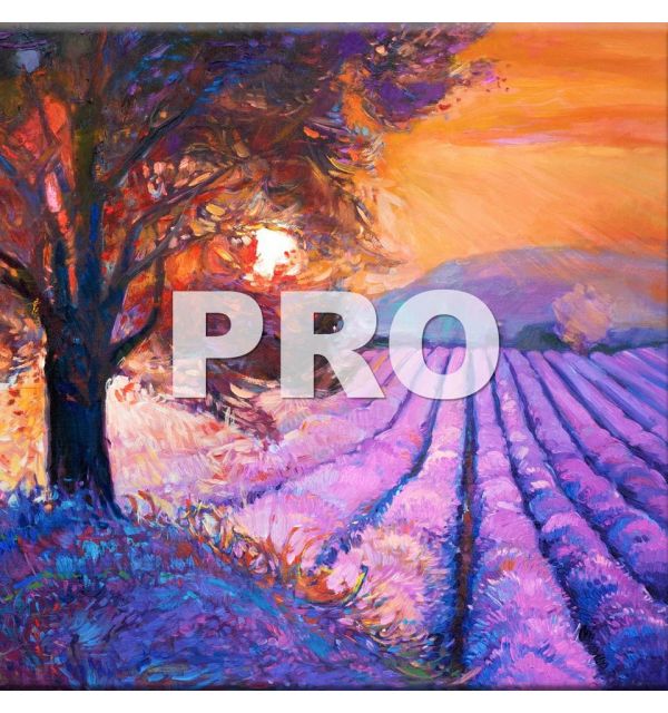 Carrelage Photo 45 x 45 PRO