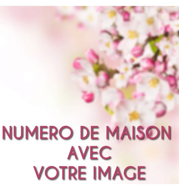 Joli numéro de maison et ses roses